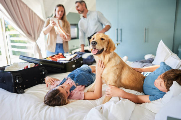 Vacation Rental Pet-Friendly: 8 Things Pet Owners Must Check Before Booking